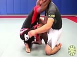 Wilson Reis UFC Fighter Favorites 7 - Ankle Pick Sweep from Butterfly Guard