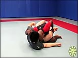 Wilson Reis UFC Fighter Favorites 9 - Sao Paulo Pass or Wilson Pass from Closed Guard